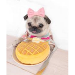 pug waffle