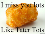 the tater tot friends