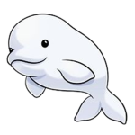 Beluga