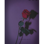 c0eqq