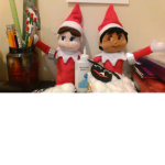 The Elf's rocky and robin group