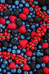 La fraise framboise myrtille