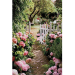 Sam's Garden
