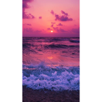 Starry Sunset