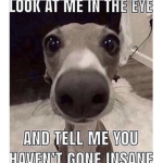i smell like cheese