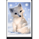 The white foxs team