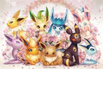 EEVEELUTIONSTET
