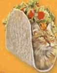 Taco Cat Community