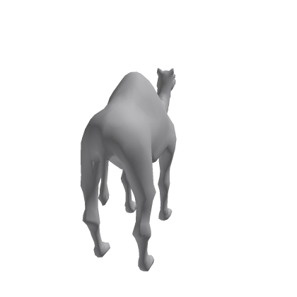 camel