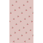 M O O N F R I E S