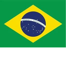 Brasil Fruits icon