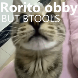 Rorito obby but Btools