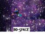 RO SPACE