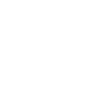 Vivix Customs