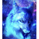 Galaxy_Wolf PACK!