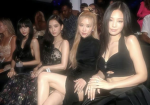 •BLACKPINK BLINKS•