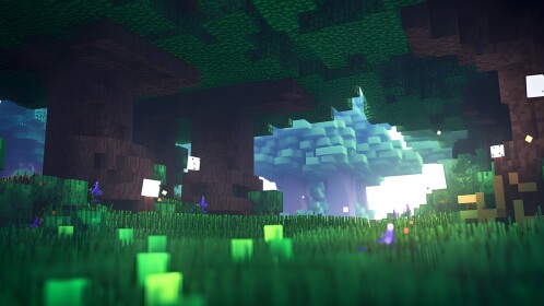 Voxels 