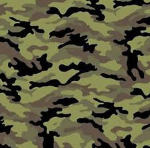 Roblox Camouflage