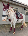AB ridding school