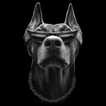 DOGYS