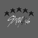 Stray Kids Stans~