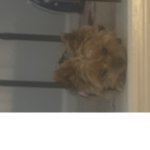 Hehehehehrhehheehheeheh