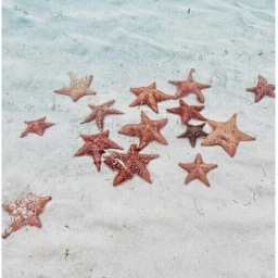 Beach hangout! <3