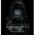 Great Apes United