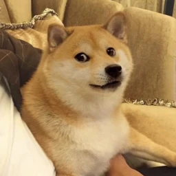 eternal anguish icon
