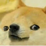 The Potato Dog Awesomeness