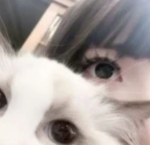 ﹒ Koa ɞ