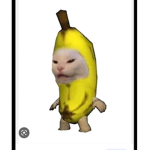 Banana cat costume