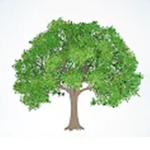 .team trees