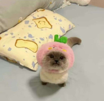 Pinky Planet
