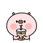 MAGICPIGS2