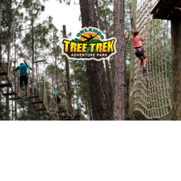 Tree Trek