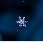 snowybearxi's Snowflakes