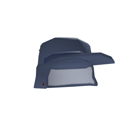Cold Storm Hat