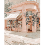 {clothes shop}