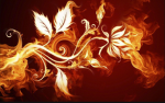 « ! The Fire Community ! »