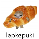 DØNÛT SQŪÃD
