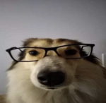 王者荣耀2