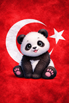 Pro pandacılar