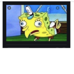 Mr. SpongeBob pants