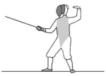 Professional fencers