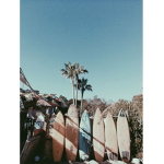 • sunshine aesthetic •