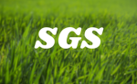 Spoiled Grass Studio