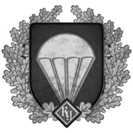RG-Parachute-Division "Wyvern"