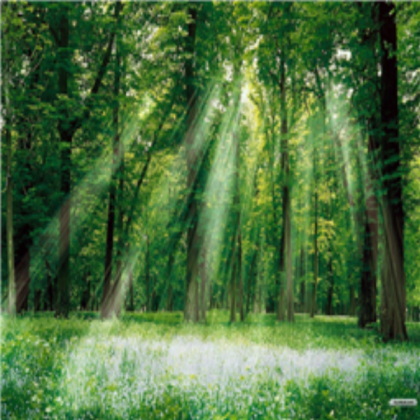 Forest Wallpaper Roblox decal