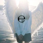 ecο Group Thumbnail